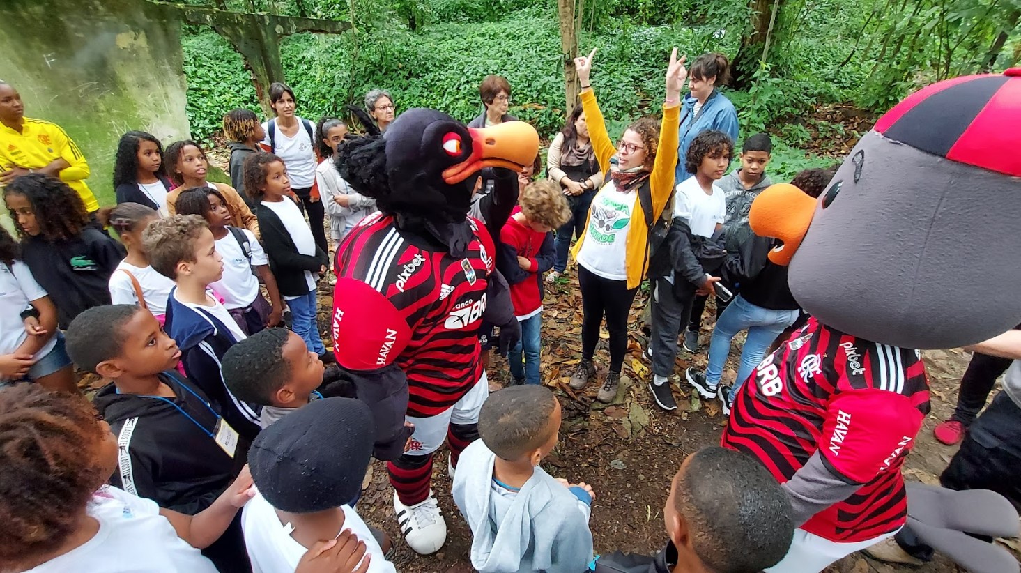 Flamengo planta 400 árvores em área de conservação no Rio de Janeiro