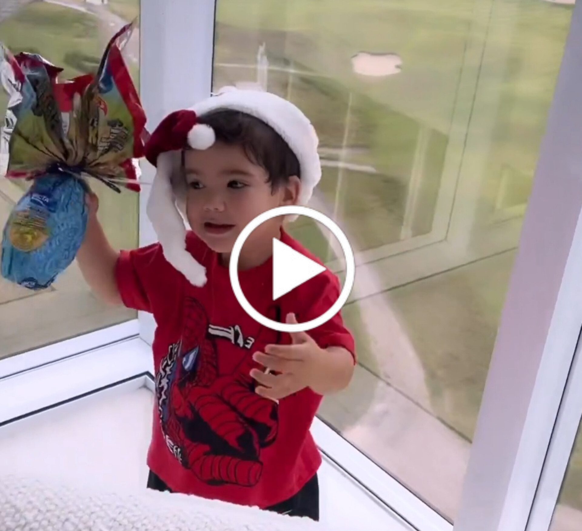 Baby Guto e Totói fazem caça aos ovos