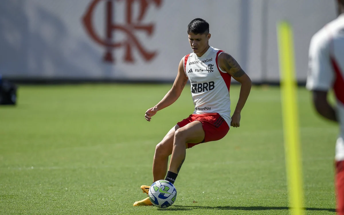 Luiz Araújo se surpreende com estrutura do Flamengo e rasga elogios